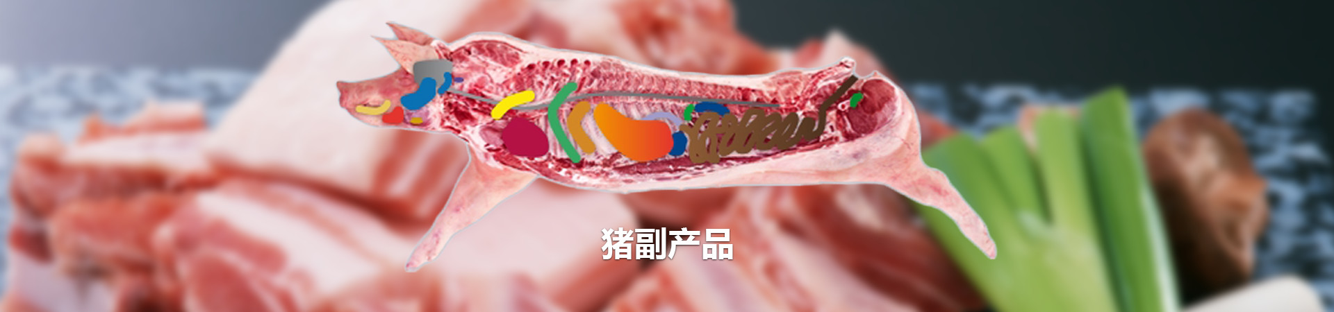 猪副产品